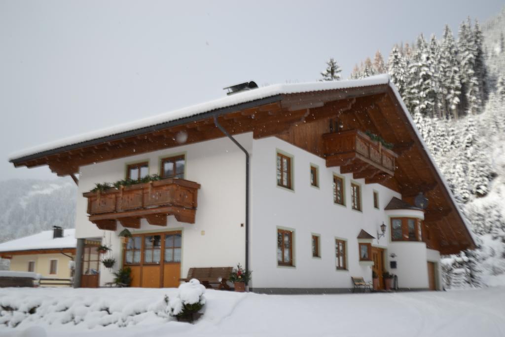 Appartement Vierthaler Werfenweng Exterior foto